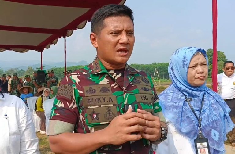 WhatsApp Image 2025-03-12 at 11.44.16