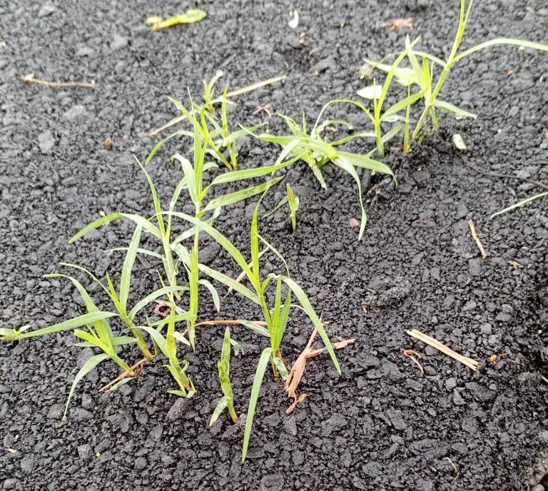 WhatsApp Image 2025-03-25 at 11.28.09