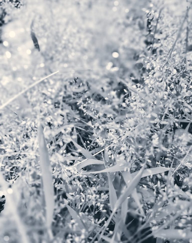 FB_IMG_1743739406570