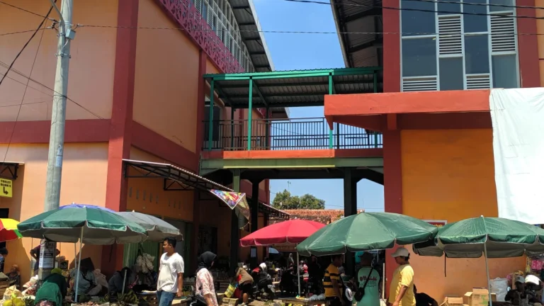 IMG_20230313_104708-1200x675