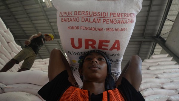 Pupuk Indonesia Raih Prestasi Gemilang, Salurkan 1,7 Juta Ton Pupuk Subsidi di Kuartal I 2025