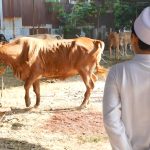 Videoshot_20250607_182850