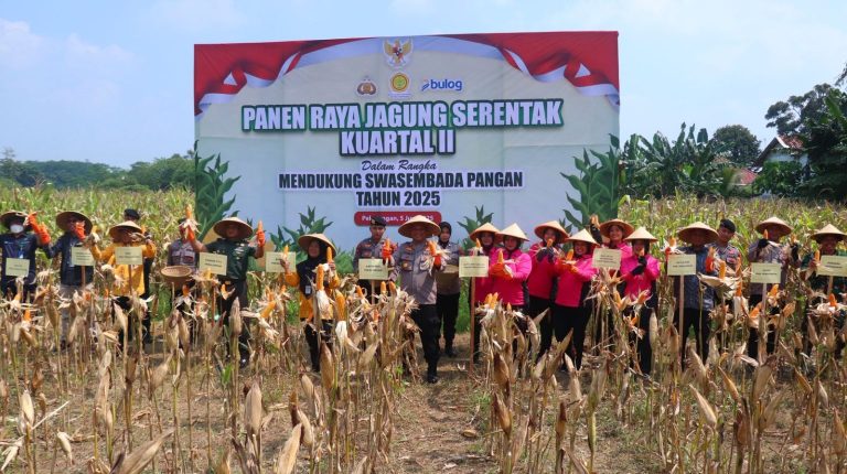 WhatsApp-Image-2025-06-05-at-12.25.12-1-1536x860