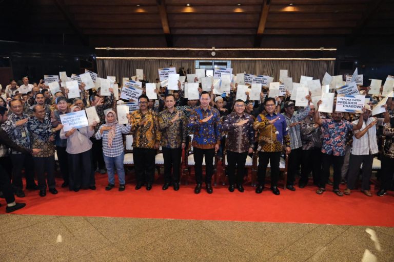 WhatsApp Image 2025-06-25 at 19.29.12