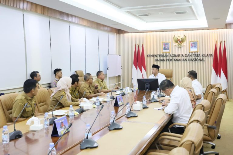 WhatsApp Image 2025-06-25 at 19.37.42