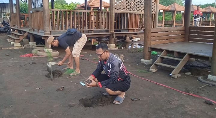 Seribu Pohon Cemara Ditanam di Pantai Wonokerto, Upaya Nyata Rawat Ekowisata Pesisir