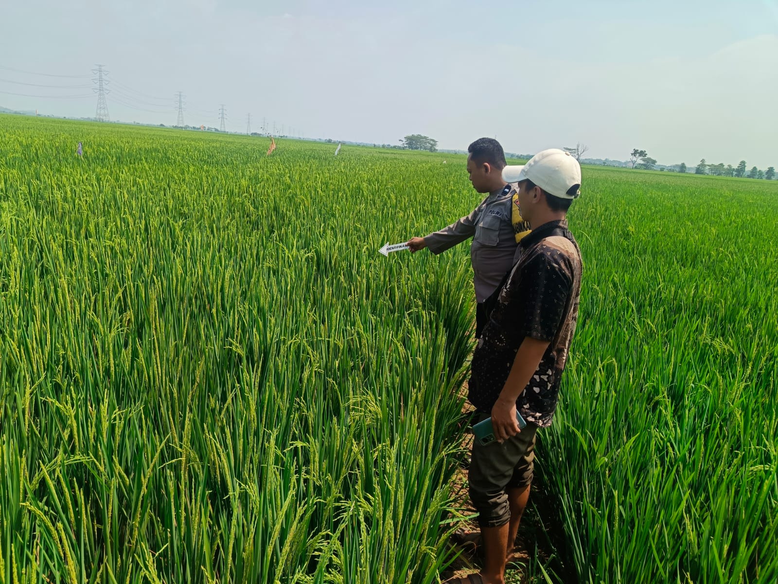 Tragedi di Sawah Legokclile: Buruh Tani Meninggal Saat Bekerja, Diduga Karena Kelelahan dan Riwayat Penyakit