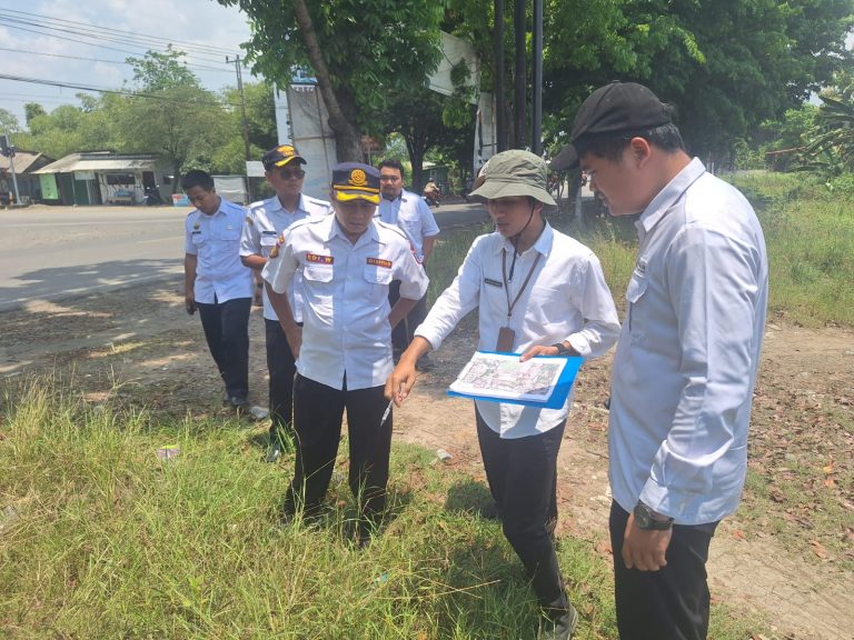 WhatsApp Image 2025-10-10 at 09.02.49