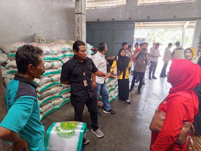 WhatsApp Image 2025-10-24 at 17.26.56