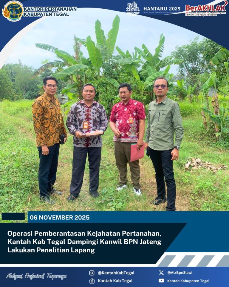 WhatsApp Image 2025-11-06 at 19.51.11