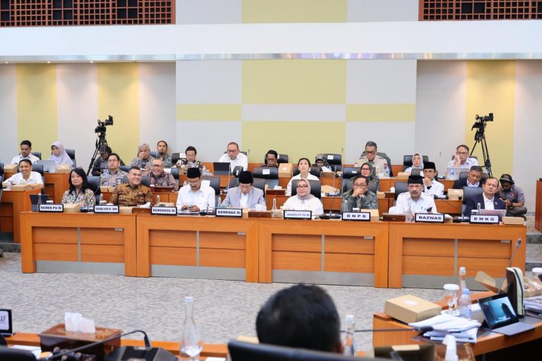 WhatsApp Image 2025-11-06 at 19.55.26