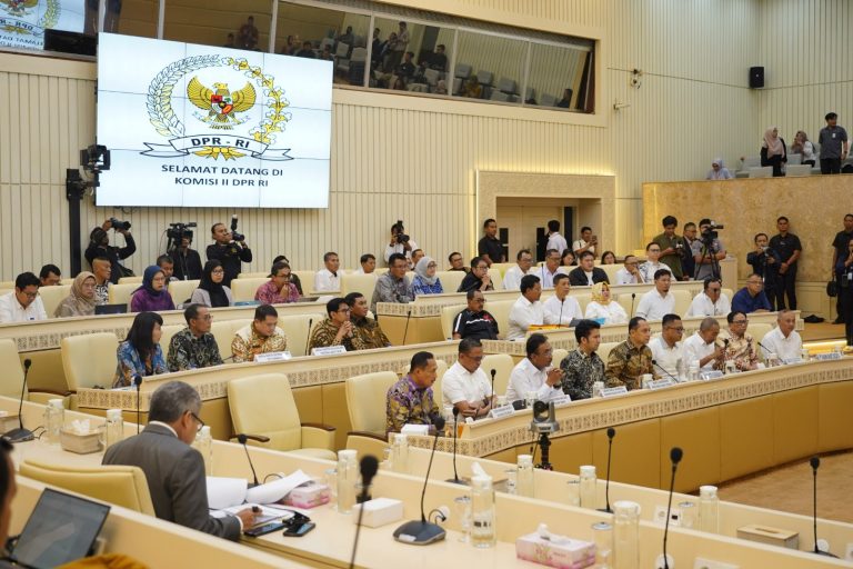 WhatsApp Image 2025-11-20 at 09.00.45