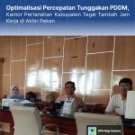 WhatsApp Image 2025-11-25 at 08.41.48