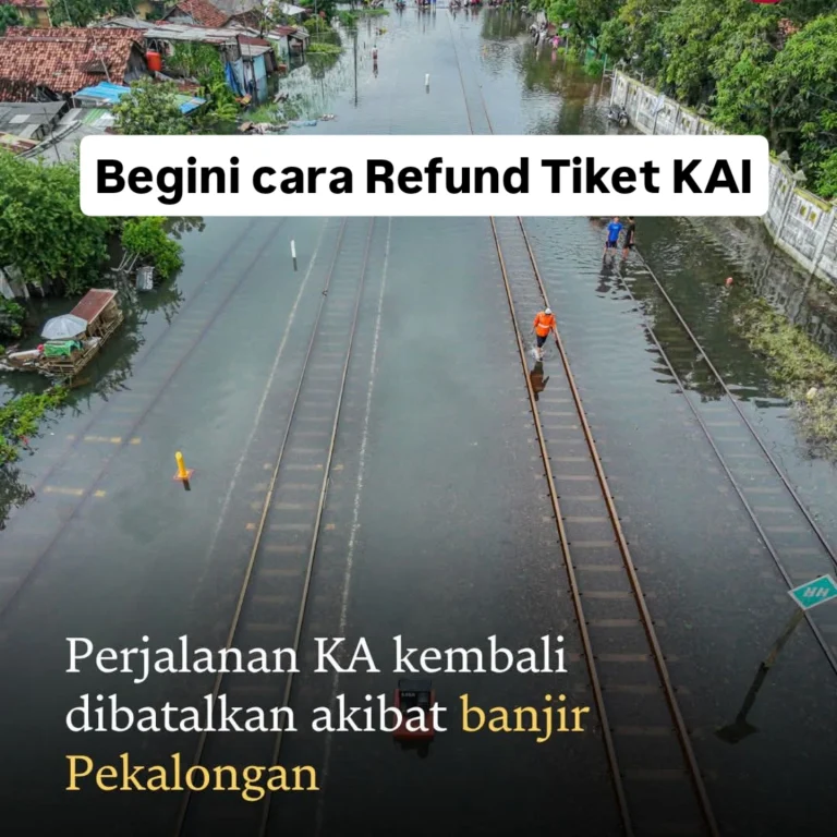 IMG_20260118_164445_267