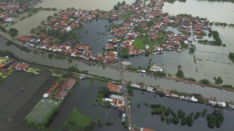 Videoshot_20260125_155021