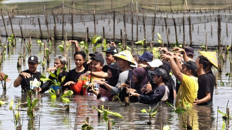 IMG-20260330-WA0079(1)