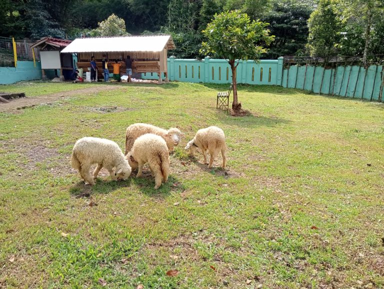 IMG-20260609-WA0084